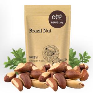 오트리 브라질넛 120g 1봉