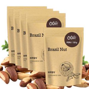 오트리 브라질넛 120g 5봉