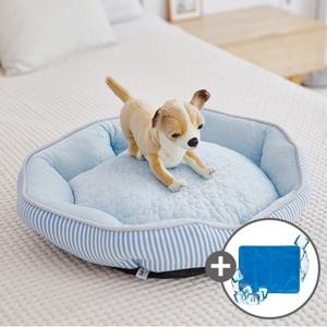 펫토리아 강아지 쿨방석 PYF98647MB 조개 블루 S +쿨매트 증정