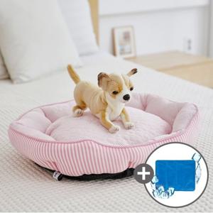 펫토리아 강아지 쿨방석 PYF98647MP 조개 핑크 S +쿨매트 증정