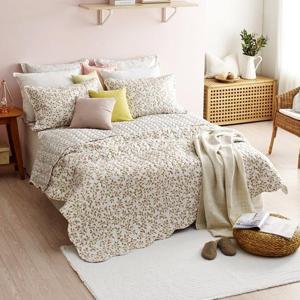 라미스고주파스프레드세트 퀸