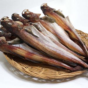 속초 중앙시장 맛집 반건조 코다리 41cm 5마리