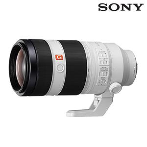 소니 풀프레임 미러리스용 렌즈 FE 100-400mm F4.5-5.6 GM