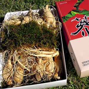 [풍기인삼] 6년근 난발삼(대) 750g(9~10뿌리)-2박스