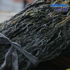 [바다원]건미역 150g x 3봉