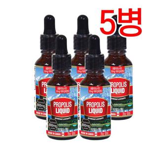 통라이프-플라보노이드800mg- 프로폴리스액상30ml-구강 향균작용 항산화에도움-5병