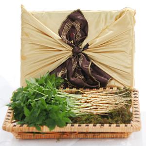 [금색보자기 선물세트] 이선호님의 새싹삼 30뿌리(15~20cm)