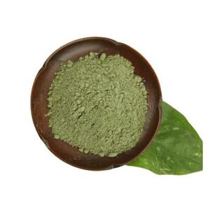 국내산 새싹보리 분말 300g×3팩