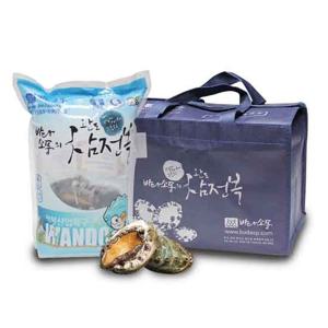 [바다소풍 산지직송] 완도 구이용 활전복 1kg(22-25미)