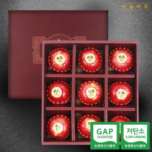 [이슬마루] GAP / 저탄소 사과 선물세트 9과 [2.4kg]