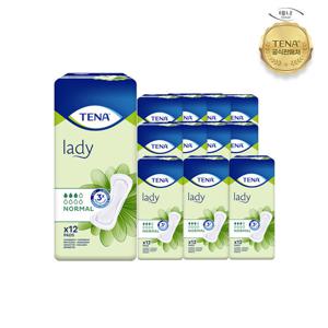 [테나]성인기저귀 레이디 노말 12매 12팩