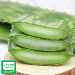 유기농 생알로에 사포나리아 5kg 식용