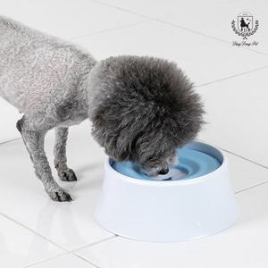 [딩동펫] 강아지 플로팅 급수기