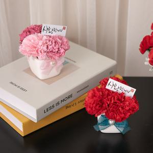 하트진주 카네이션 화분set 8cm (2컬러) 조화 어버이날 스승의날 선물 감사