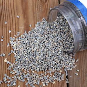 부지런한 농부 국내산 페트용기 강호청보리 800g