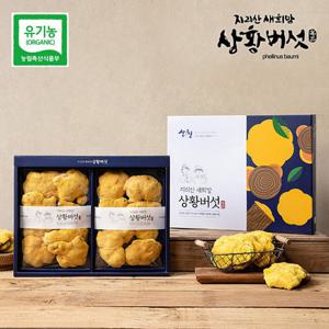 [지리산 새희망 상황버섯]유기농 상황버섯 선물세트 200g(특품)