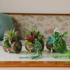 비밀의 숲 통나무 행잉 스칸디아모스 화분-습기제거,공기정화