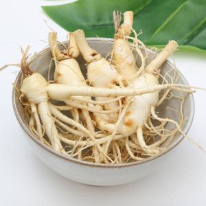 [고려인삼] 갓 수확한 햇수삼 세척 인삼 300g (10뿌리이상)