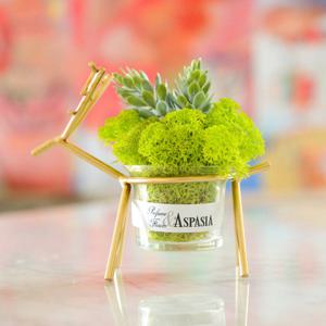 앤티크 순록 스칸디아모스 화분-공기정화식물