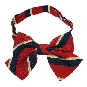 [ASK 주니어]스트라이프 리본 보타이 (JR7MAN104FL)(여아/와인)