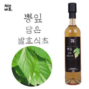 자연비초 뽕잎 담은 발효식초 500ml 무설탕 전통발효