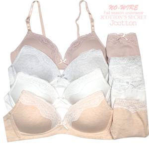 베이직 심플 코튼 학생 브라 팬티 8종세트