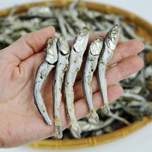 경남 통영 상급 멸치 500g(대멸)