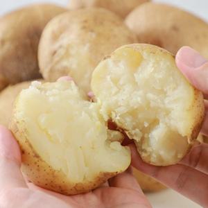 [농협청과33번] 감자 10kg (왕특)-선물고급형/요리용