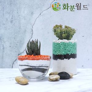 칼라스톤 색돌 (대포장)  백자갈 흑자갈 어항자갈 색돌