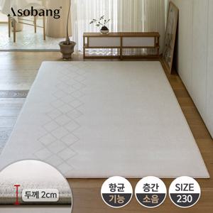 [아소방] 프라임 놀이방매트 오슬로라인 230