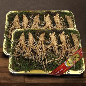 [풍기인삼] 5년근 수삼 1채 750g (5-7뿌리/등바구니) x 2박스