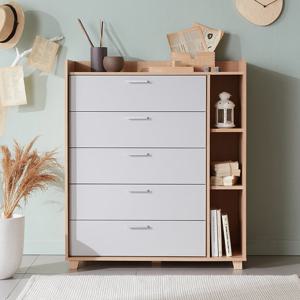 비앙스 켈른 전도방지 1000 5단 서랍장