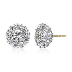 [로제도르] 와일드가든(Q5) 귀고리_251800044