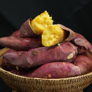 해남 꿀 밤고구마 5kg 못난이