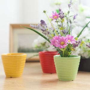 [2+1] 도자기 원형 화분 컬러주름 8x8cm 3컬러 조화꽃 전용 다육 인테리어 장식 소품 원예