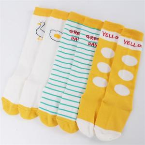 [지앤]유아동양말 y에그니삭스 반장