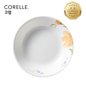 코렐 베고니아 찬기대