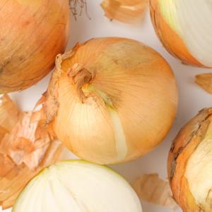 단단한 햇 무안 양파 10kg 중