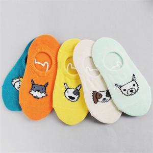 [지앤]유아동양말 y도그덧신 5족세트 발목양말