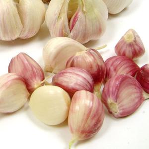 산지발송 깐마늘(대) 3kg