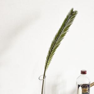 [포홈] 야자수 롱라인 화병세트