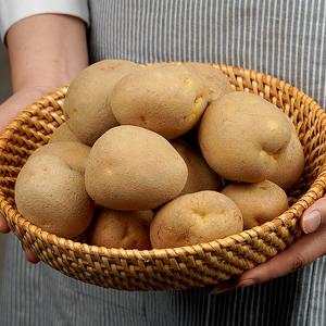 대화팜_감자 5kg 대70-100g