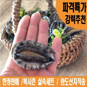 해신수산 완도활전복 삼계탕용 33~38마리 1.4kg_3~4인용