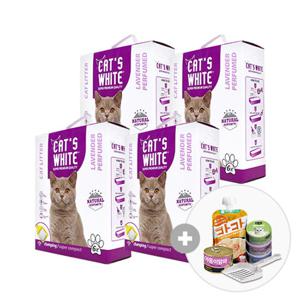 캣츠화이트미세입자(라벤더향)6L x 4 + 모래삽 + 간식 5종