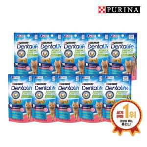 덴탈라이프 고양이껌 연어 트릿 51G 10개