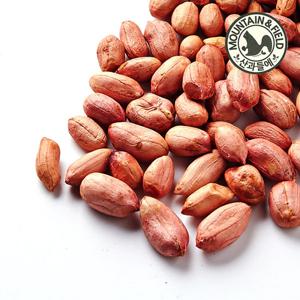 [산과들에] 고소한 25년산 헷 볶음땅콩 800g (간식 맥주안주)