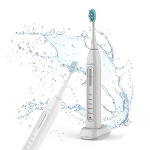 코첼라 음파칫솔 KLETB-1000 (음파칫솔모 증정)