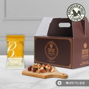 [산과들에] 하루견과 원데이발란스골드 60봉 부모님선물 추천