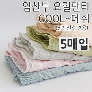 임산부 쿨메쉬 골반팬티 5종세트 빅사이즈 여성노라인