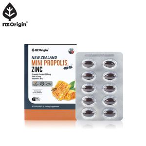 [엔젯오리진] 뉴질랜드 미니 프로폴리스 아연(650mg x 30캡슐)